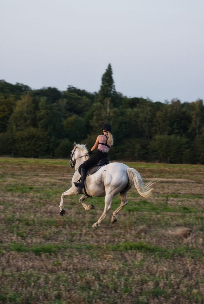 Horse riding